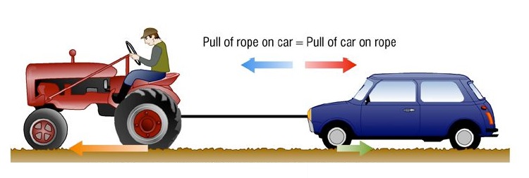 there is a force exerted on the rope in response to the force exerted by the rope