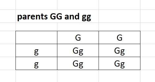 the temperature changes of water from solid to gas