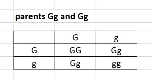 the temperature changes of water from solid to gas